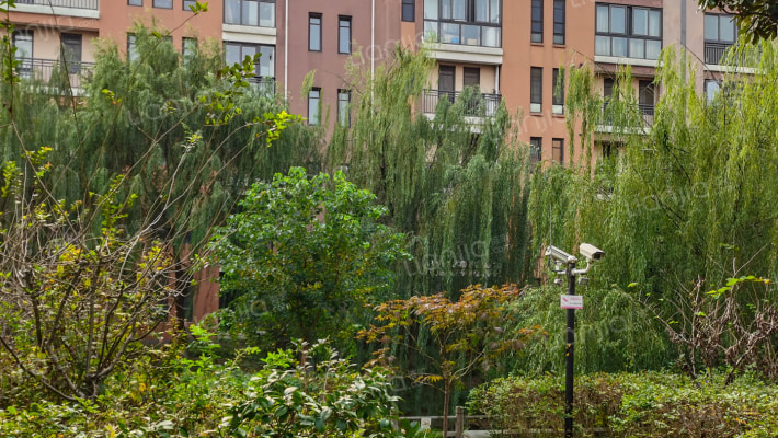 安亭新镇宾根花园(公寓)外景图