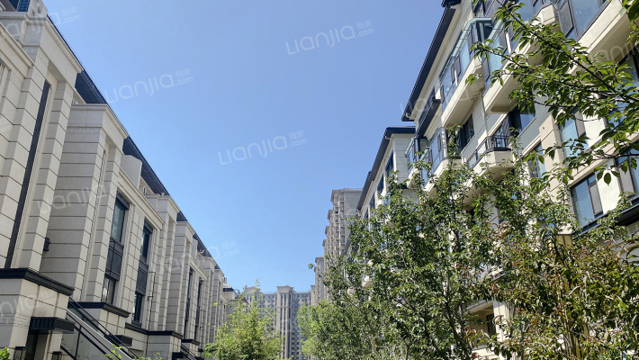 阳光城京悦府外景图