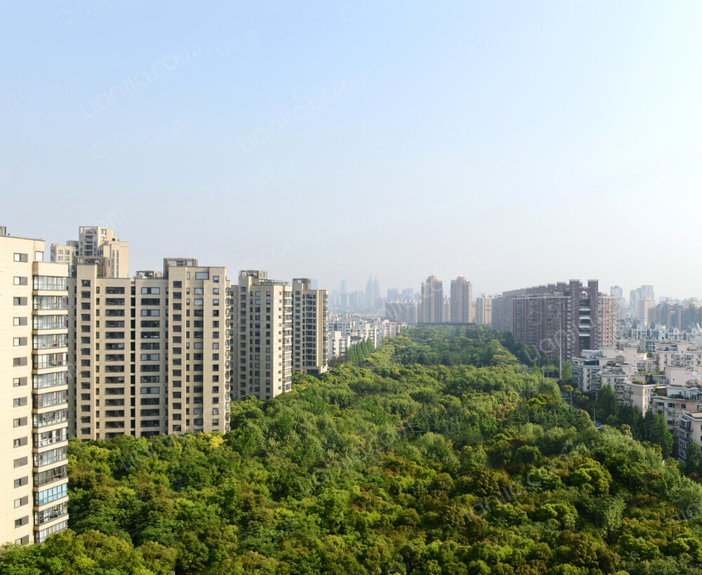 中鹰黑森林相册