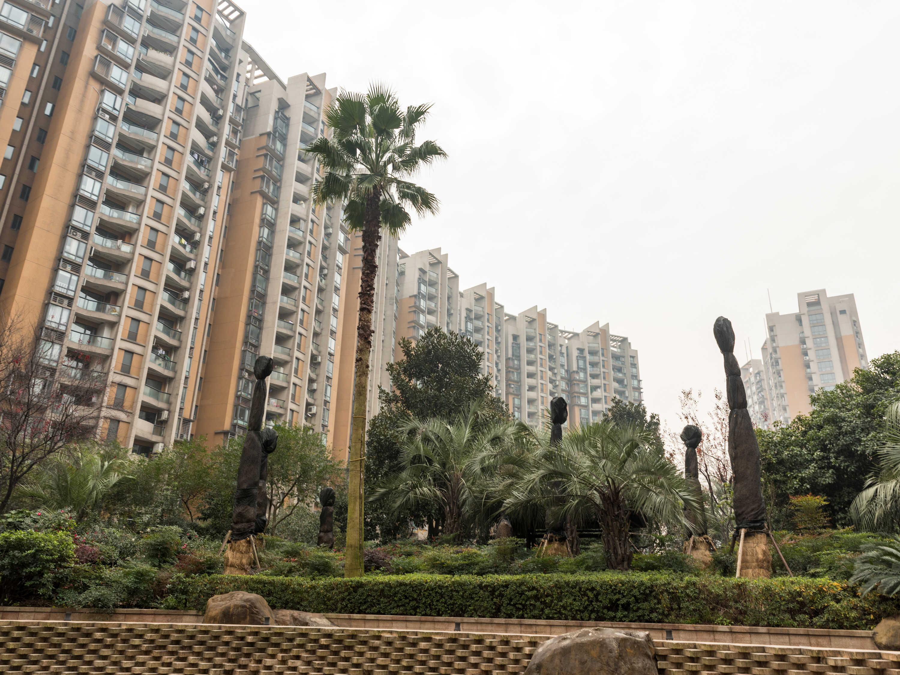金色家园小区实景 7