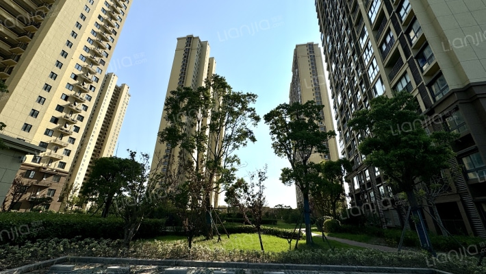 合生伴海外景图