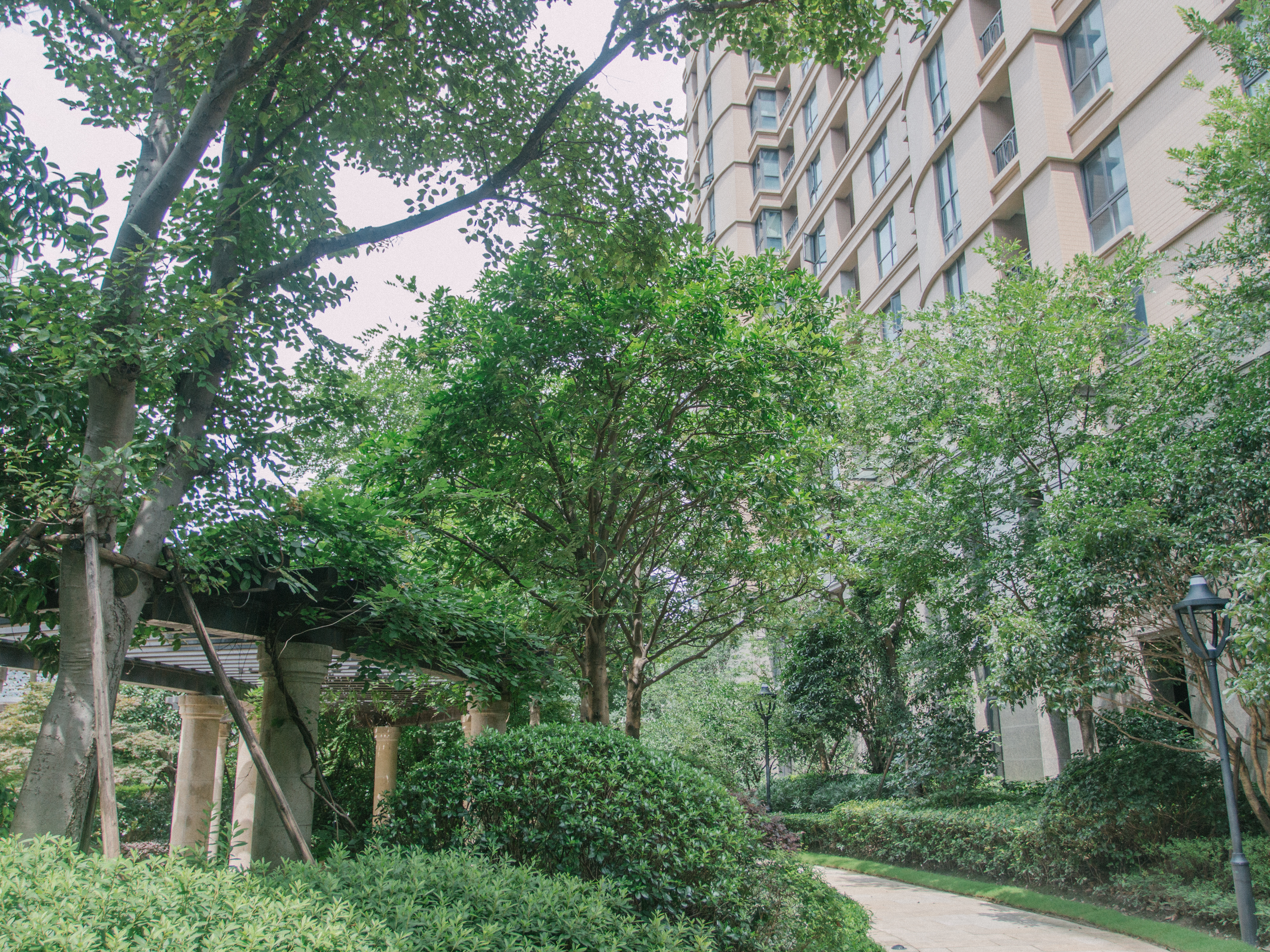 锦兰公寓小区实景 13