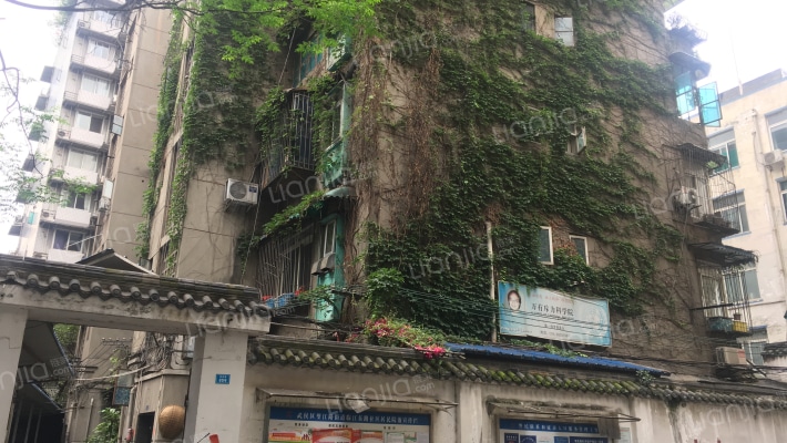 致民路65号外景图