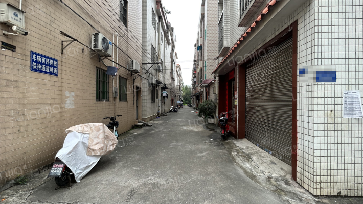 伦教羊额单家外景图