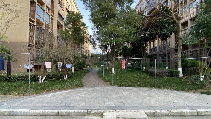 吉水街271号外景图