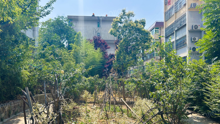 中国人民银行家属院外景图