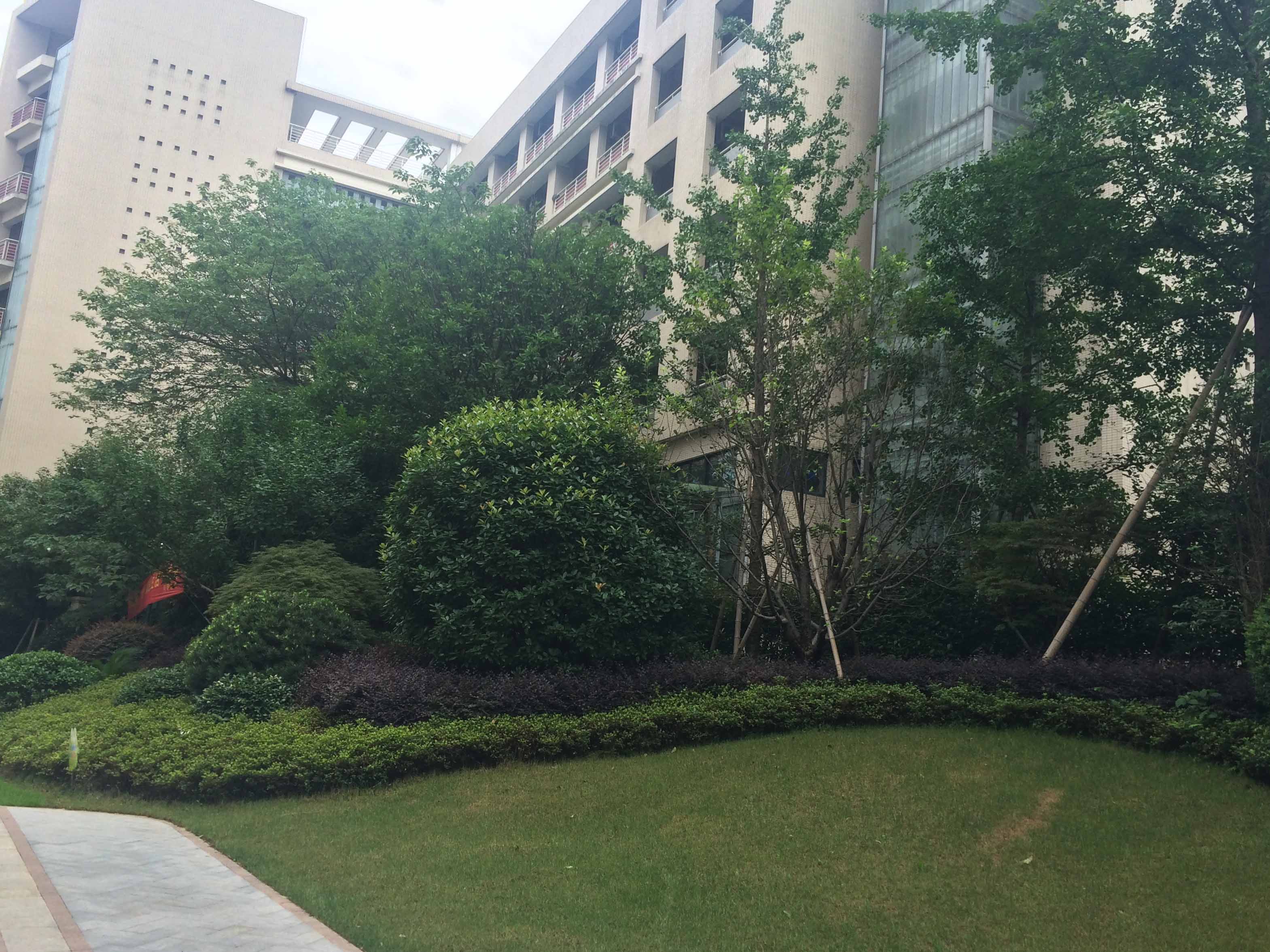 江南望庄小区实景 15