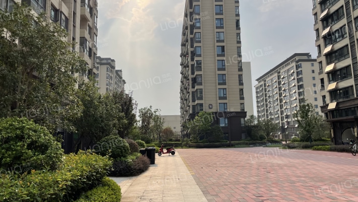 文一锦门繁华里外景图