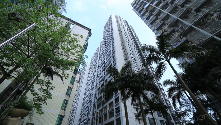 莲丰雅苑福田北大区二期_深圳莲丰雅苑福田北大区二期二手房|房价