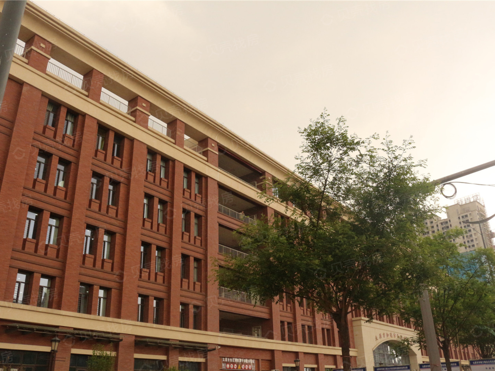 竞杰·常青藤相册