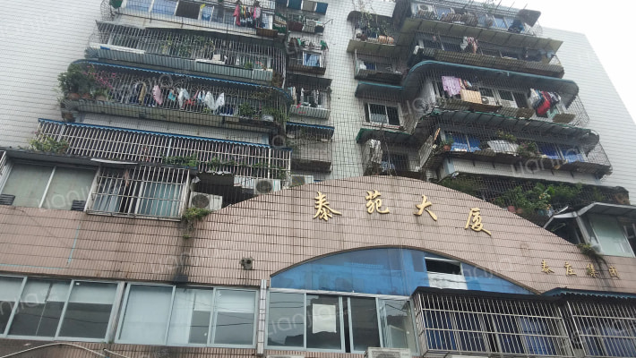 泰苑大厦外景图