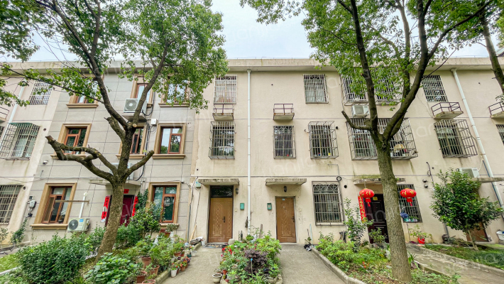 朝张新村外景图