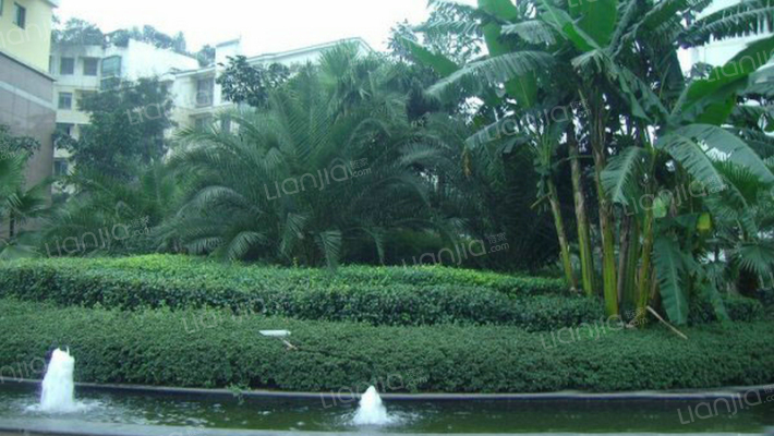 金府机电城外景图