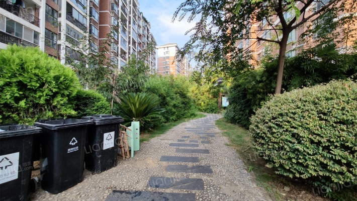 现代森林花园外景图