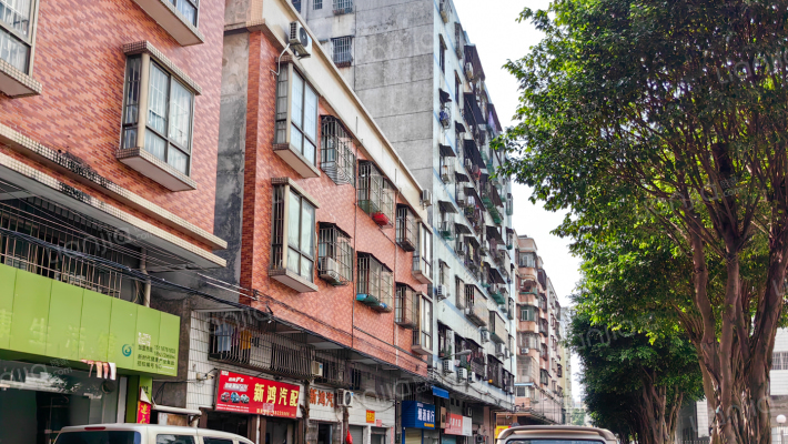 跃华路493号外景图