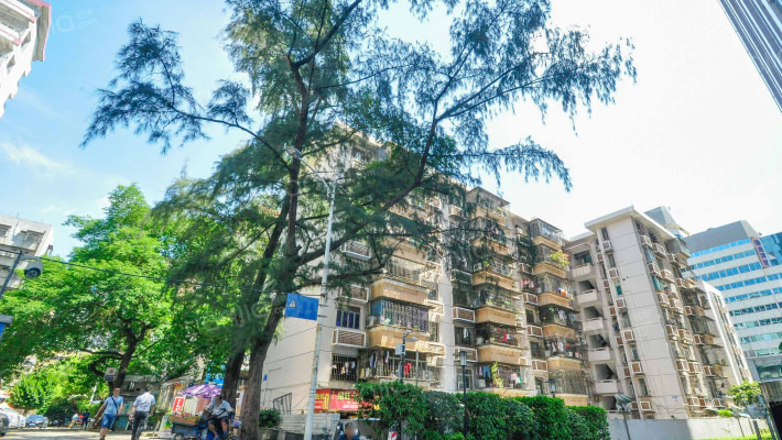 广场北街小区外景图