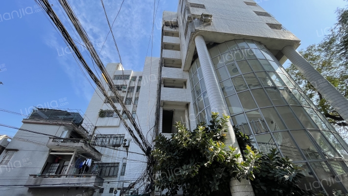 陈村金花楼外景图