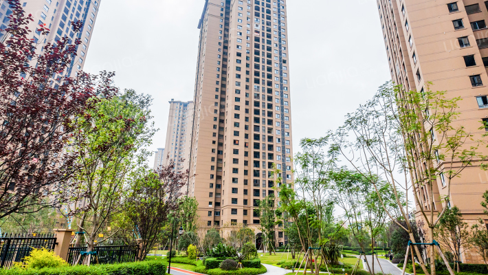 金科中央公园城（璧山）11号12号门外景图