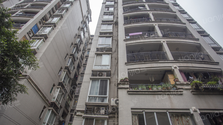 保利香槟花园A区外景图