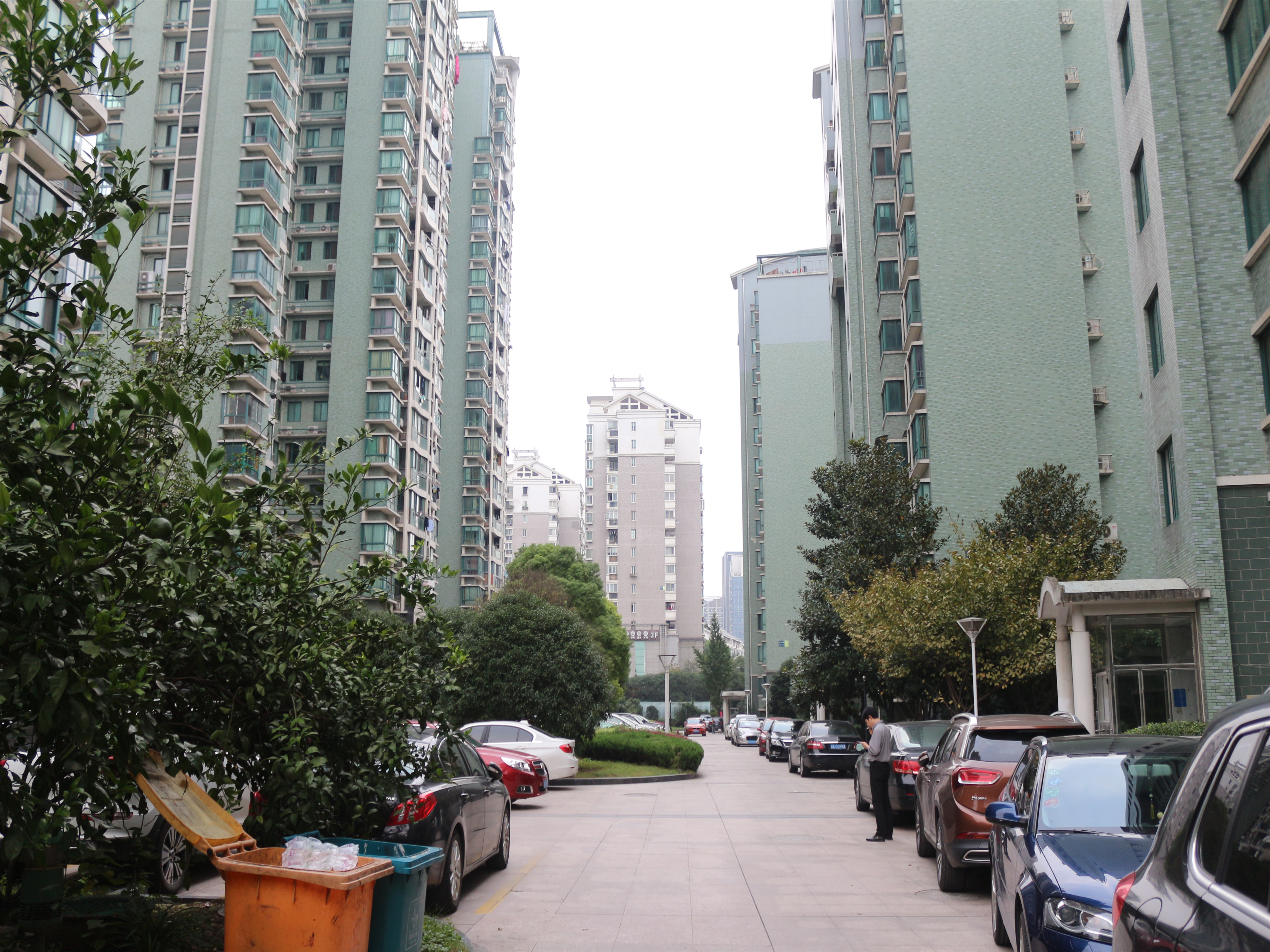 中兴花园小区实景 3