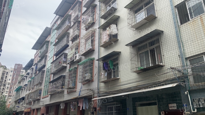 繁江六巷29号外景图