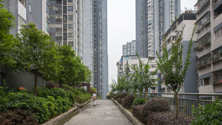 阳光青城外景图