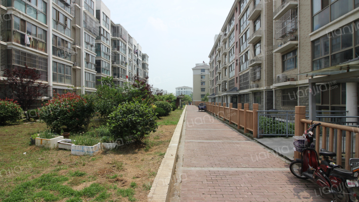 博学苑银杏园外景图