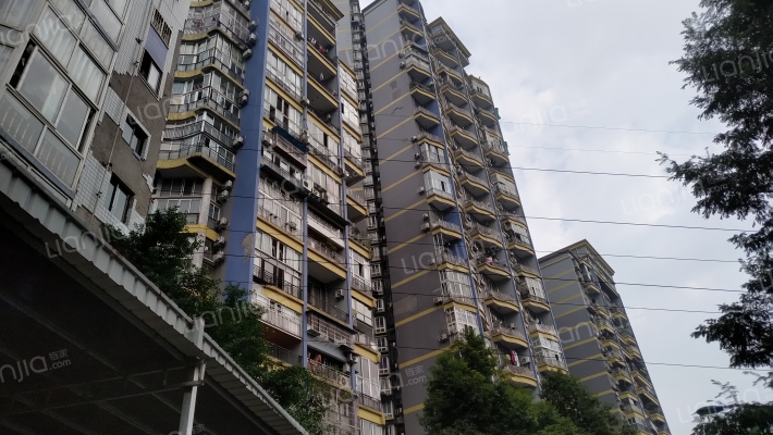 龙环世纪外景图