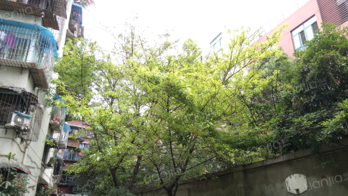 龙王庙正街90号外景图