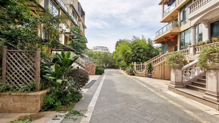 泰禾红树林外景图