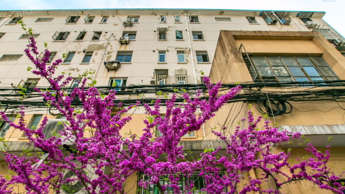 东宝兴路447弄外景图