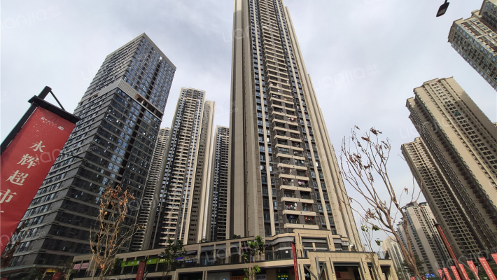 中海花湾壹号B区外景图