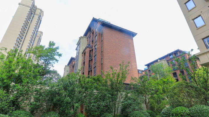 新力琥珀园外景图