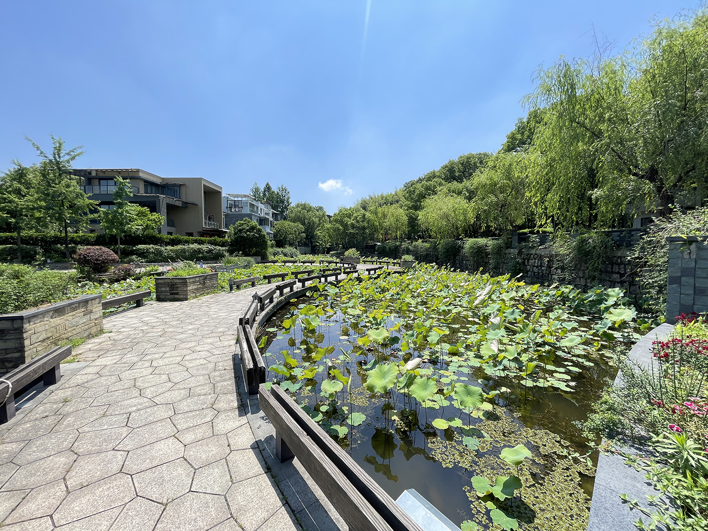 南岸花城小区实景 20