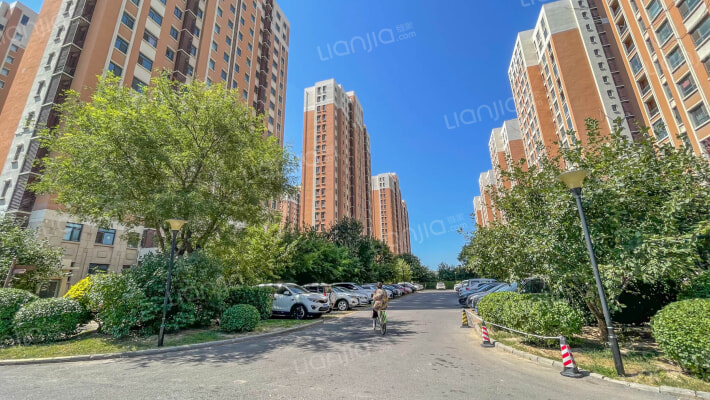 新湖公寓外景图