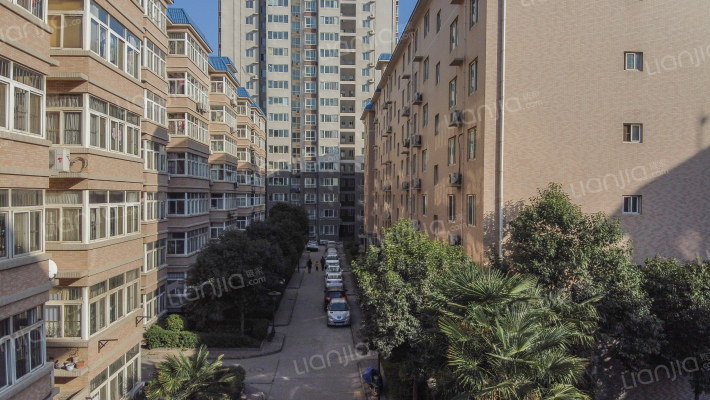 荷花名苑外景图