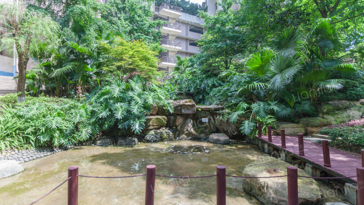 融侨半岛云满庭D区外景图