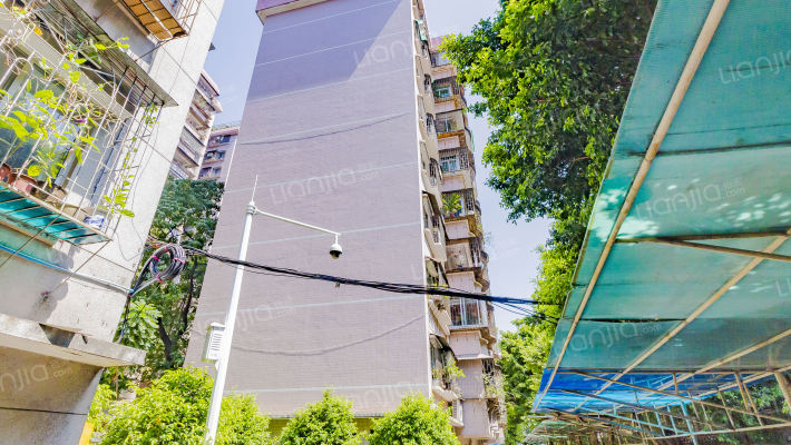 民航小区绿化小区外景图