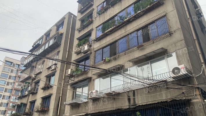 东大街203号外景图