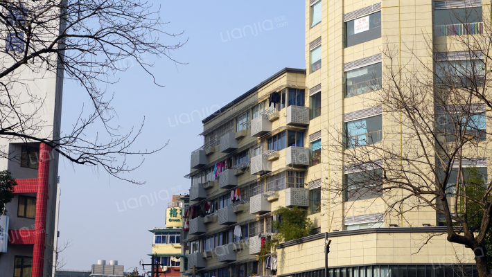 天目山路外景图