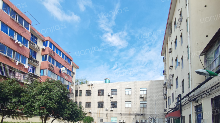 荷花新村外景图