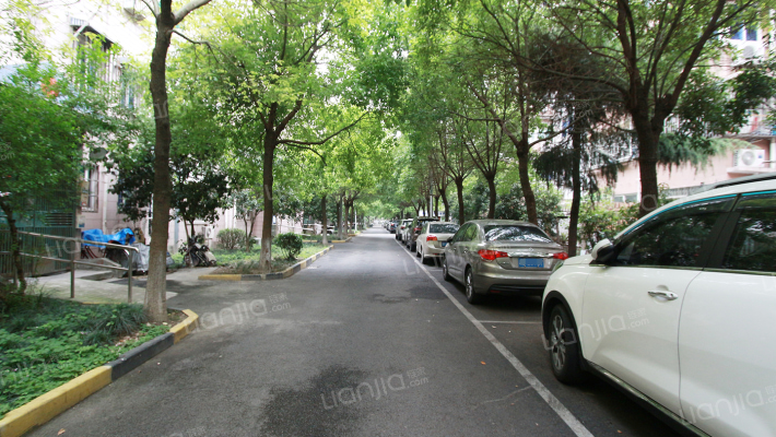 共富四村外景图