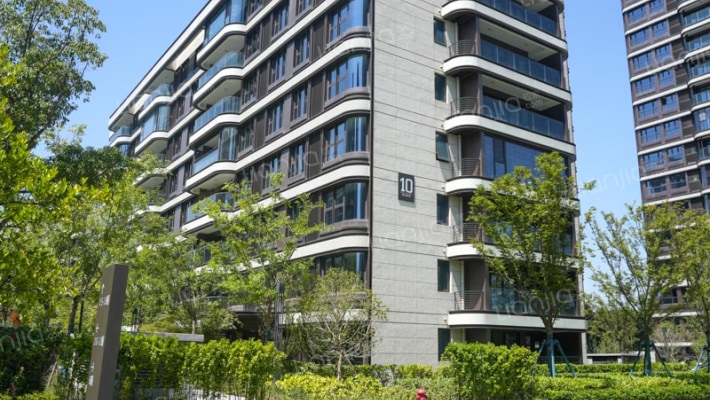 荷月伴塘外景图