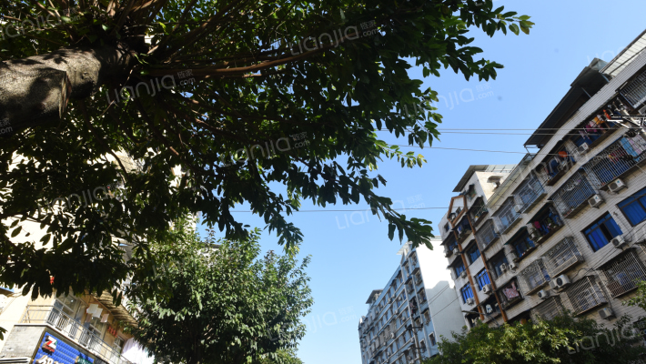 北湖支路外景图