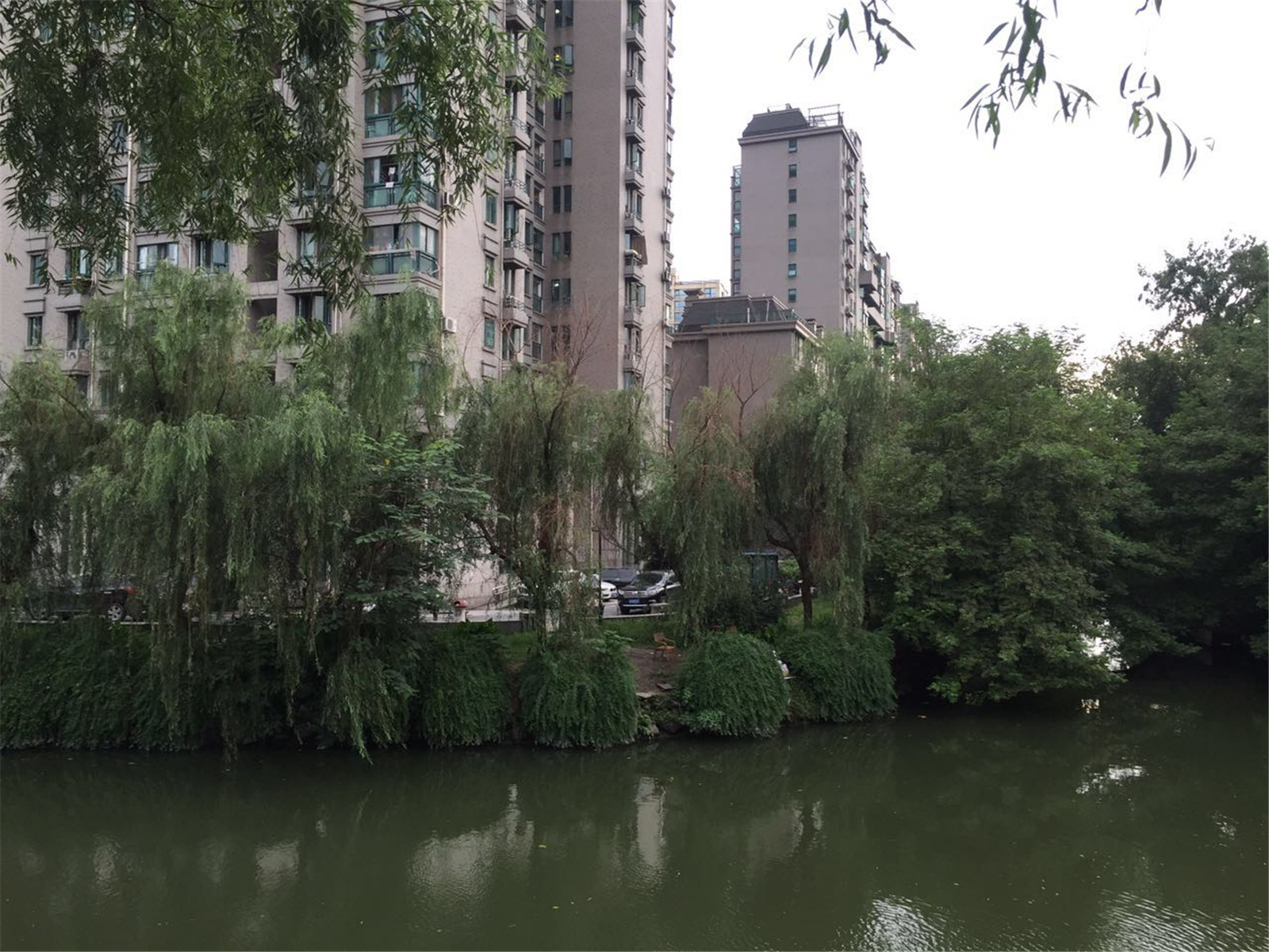 浅水湾城市花园小区实景 44