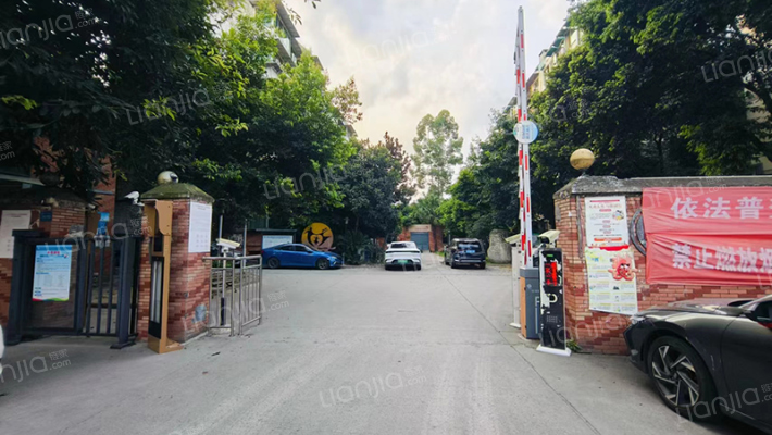 茶树街10号外景图