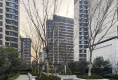 学林春晓户型图实景图