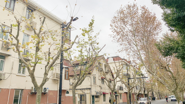 兴国路159号外景图