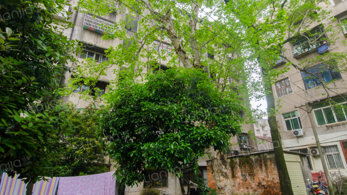 文正街74号院外景图