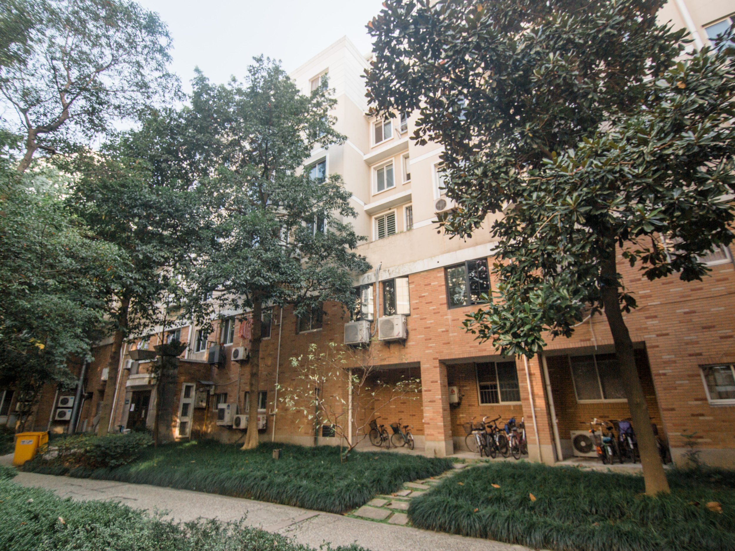 星洲花园小区实景 15